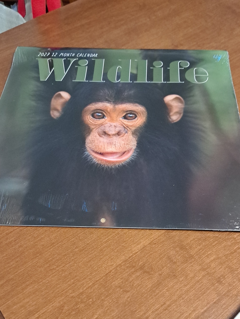 2027 Wildlife Calendar